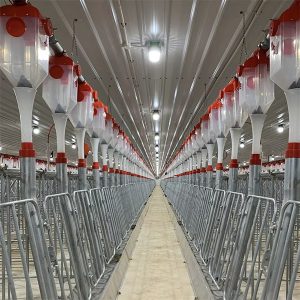 cūku disku ķēdes automātiskā barošanas sistēma